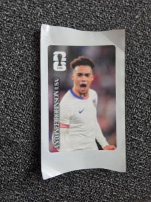 Antonee Robinson