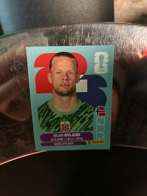 Ørjan Nyland